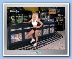 Virtual Bartender Porn 33